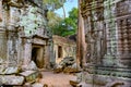 Ruins of Ta Prohm Temple, Angkor, Siem Reap, Cambodia. Big roots over walls and roof of a temple. Royalty Free Stock Photo