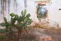 Ancient building of the mine of mineral de pozos guanajuato, mexico II