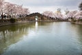 Ancient buildings and cherry blossoms in full bloom in Taihu Lake Park, Wuxi, Jiangsu, China Royalty Free Stock Photo