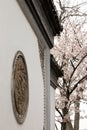 Ancient buildings and cherry blossoms in full bloom in Taihu Lake Park, Wuxi, Jiangsu, China Royalty Free Stock Photo