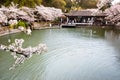 Ancient buildings and cherry blossoms in full bloom in Taihu Lake Park, Wuxi, Jiangsu, China Royalty Free Stock Photo