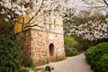 Ancient buildings and cherry blossoms in full bloom in Taihu Lake Park, Wuxi, Jiangsu, China Royalty Free Stock Photo