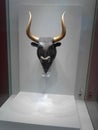 Ancient bull head