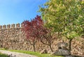 Ancient Bull Statue Castle Walls Swallows Avila Castile Spain