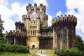 The Ancient Butron castle, Spain Royalty Free Stock Photo