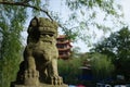 Chinese garden of mighty stone lion