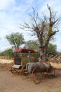 Ancient cart in the mine of mineral de pozos guanajuato V