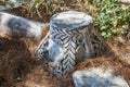 Ancient carved stone column ruin in overgrown outdoor setting Royalty Free Stock Photo