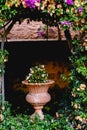 Ancient carved stone vase in a European garden with flowers Royalty Free Stock Photo