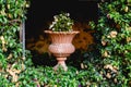 Ancient carved stone vase in a European garden with flowers Royalty Free Stock Photo
