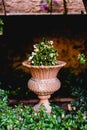 Ancient carved stone vase in a European garden with flowers Royalty Free Stock Photo