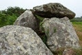 Ancient celtic stone tomb in Normandy France