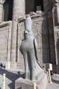 Horus Statue - Ancient Egyptian History - Upper Egypt Royalty Free Stock Photo