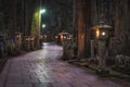 Ancient Cemetery at night inside a forrest, Okunoin Cemetery, Wakayama, Japan