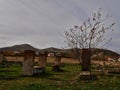 Ancient cemetery with old and damaged gravestones Royalty Free Stock Photo