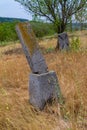 Ancient cemetery restoration, traditional coquina stone tombs and crosses with carved dates, Busha, Ukraine