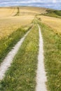 An ancient chalk trackway in East Sussex Royalty Free Stock Photo