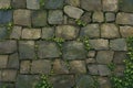 Ancient charm moss covered stone wall, a timeless and rustic texture Royalty Free Stock Photo