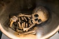 Ancient Child Skeleton Royalty Free Stock Photo