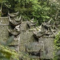 Ancient Chinese architecture roof