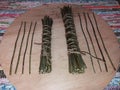 Dried yarrow stems for I Ching divination