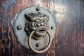 Ancient Chinese Lion Door Handle Royalty Free Stock Photo