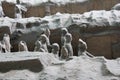 Terracotta warriors in ancient Chinese tombs