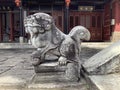 Ancient Chinese stone lion sculpture is a traditional art Royalty Free Stock Photo