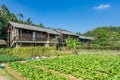 Ancient Chinese traditional Hakka house with vegetable garden