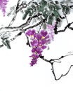 Ancient Chinese traditional hand brush and ink painting -Wisteria.Meaning: everything goes well