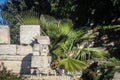 Ancient chunks of marble create uneven wall in Athens garden with tropical plants and roses and trees in the background Royalty Free Stock Photo