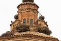 Ancient church of Seros covered with stork nests, Spain