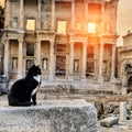 The ancient city of Efes. The building of the Celsus library and the black cat on the stones. Royalty Free Stock Photo