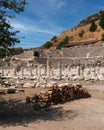 Ancient city Ephesus, Efes, Izmir, Turkey