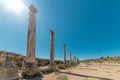 Ancient city of Perge in Antalya, Turkey. Historical ruins in the ancient city of Pamphylia