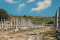 Ancient city of Perge in Antalya, Turkey. Historical ruins in the ancient city of Pamphylia