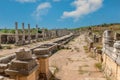 Ancient city of Perge in Antalya, Turkey. Historical ruins in the ancient city of Pamphylia