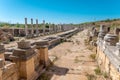 Ancient city of Perge in Antalya, Turkey. Historical ruins in the ancient city of Pamphylia