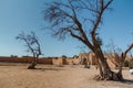 The ancient city walls in Taroudant, Morocco