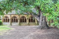 Ancient cloister in Oxford, UK with two hundred year old tree in summer Royalty Free Stock Photo
