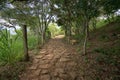 Ancient cobblestone path in Barichara Colombia