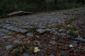 Ancient cobblestone road in bad shape. Royalty Free Stock Photo