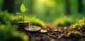 Ancient coins amongst tiny saplings; soft focus natural setting , texture, treasure Royalty Free Stock Photo