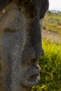 ancient colombian indigenous statue hecra in stone