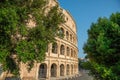 Ancient Colosseum with green trees on sides Rome, Italy in the morning Royalty Free Stock Photo