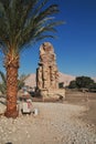 Ancient colossi of Memnon in Egypt, Luxor, Africa Royalty Free Stock Photo