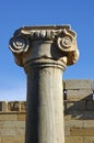 Ancient column Royalty Free Stock Photo