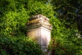 Ancient column wrapped by plants