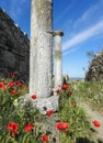 Ancient columns against present day hiking path Royalty Free Stock Photo