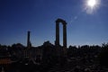 Ancient columns amongst the ruins of the temple of Apollo at ancient Didyma, Turkey.